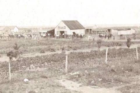 Pioneer tells about early life in Terry County
