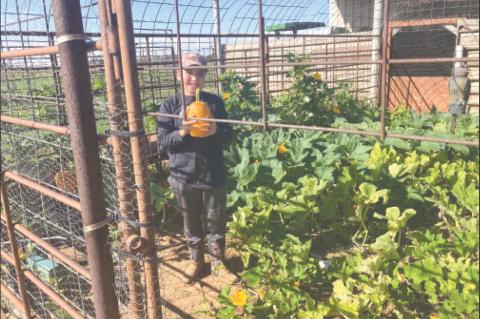 A Seventh Grader's First Harvest