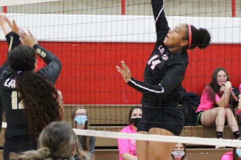 Brownfield Lady Cubs VOLLEYBALL