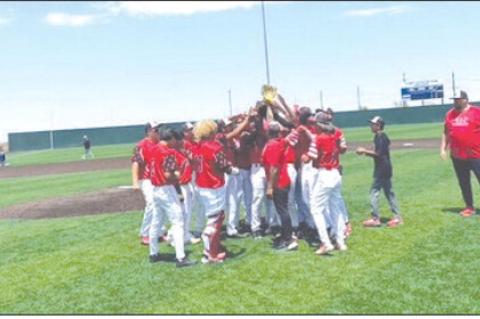 The Cubs celebrate after being presented with the bi-district trophy after defeating Presidio on Saturday at Fort Stockton High School. (BROWNFIELD ISD PHOTO)