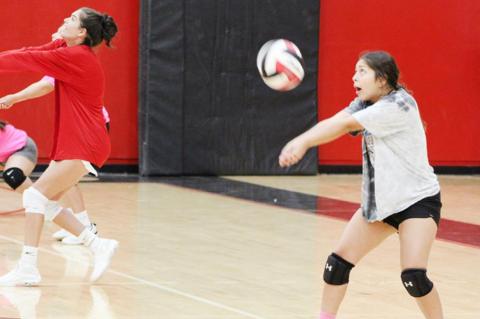 Tennis and Volleyball prepare for upcoming season
