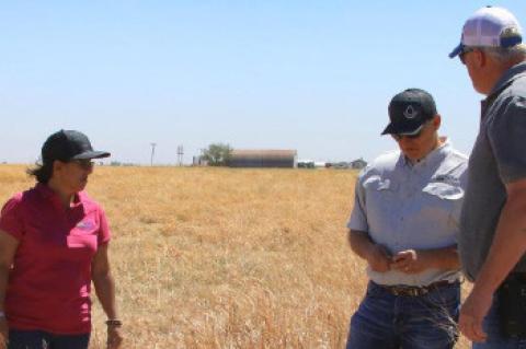 USDA Offers Disaster Assistance to Those Impacted by Wildfires