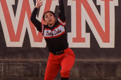Brownfield Lady Cubs Softball Tournament