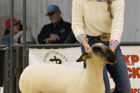 2023 BROWNFIELD LIVESTOCK SHOW