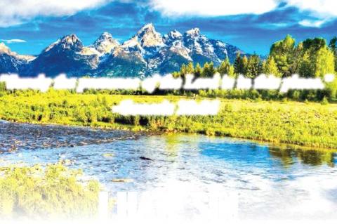 Article Image Alt Text