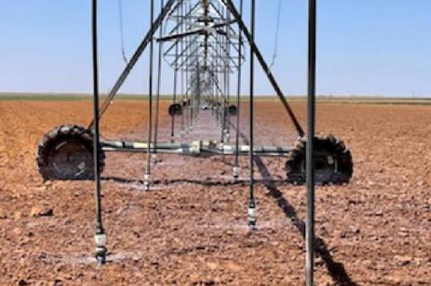 Drought Puts