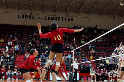 Lady Cubs Volleyball: Missing Pieces 