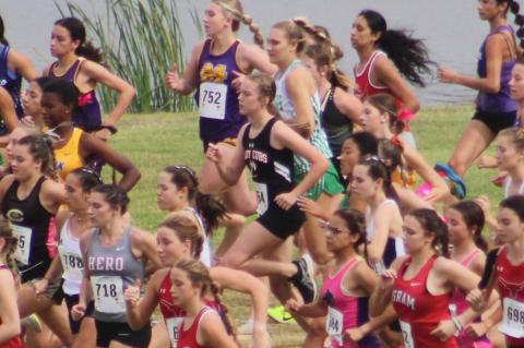 Brownfield's Hesse races her way to state championship berth