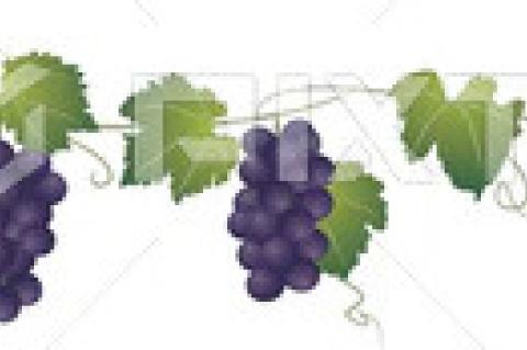 Terry County Wine Festival