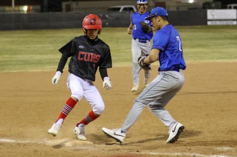 Brownfield Cubs