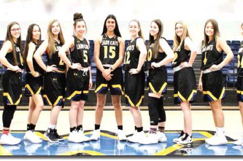 Wellman-Union Lady Cats