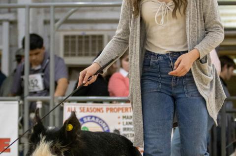 2023 BROWNFIELD LIVESTOCK SHOW