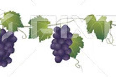 Terry County Wine Festival