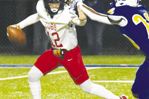 Terry County Football Capsules