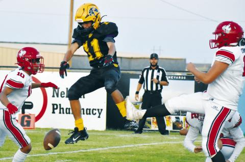 Terry County Football Capsules