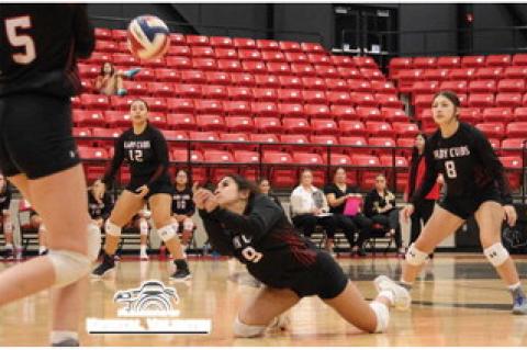 Lady Cubs fall to Plains in final pre-district game