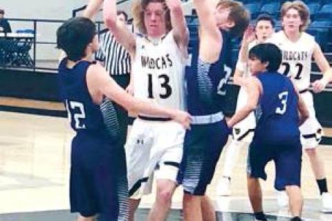 Wildcats stump Dragons
