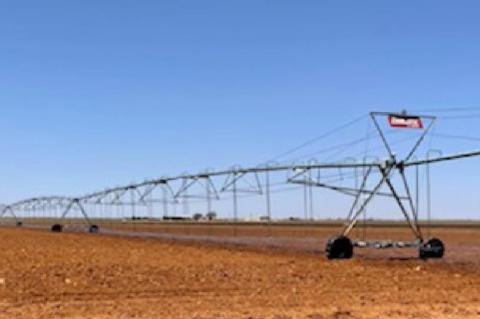Drought Puts