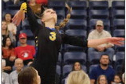 Lady Wildcats hold off Lady Cubs