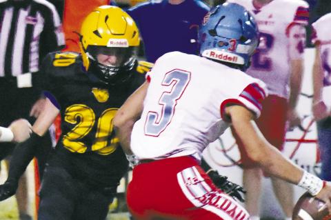 Terry County Football Capsules