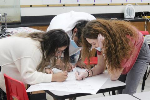 Brownfield High School is humming along at a fast-Spring Pace!