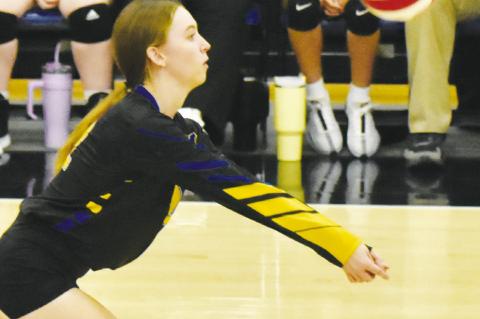 Lady Cats volleyball stumbles against Plains