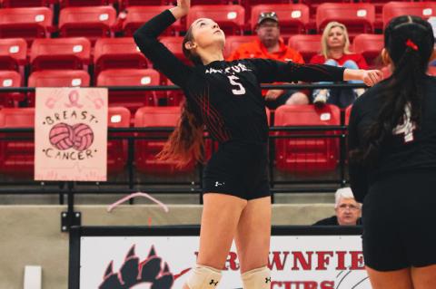 Cubs, Lady Cubs make history with victory against Andrews