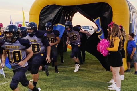 Wildcats hope win will bring momentum