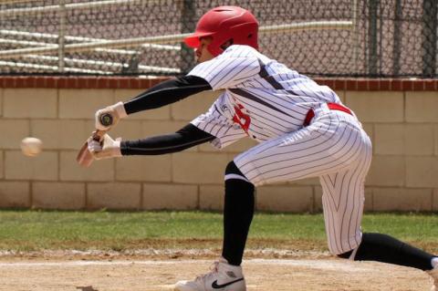 Brownfield Cubs fall to New Home 6-3
