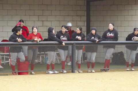 Brownfield softball season underway