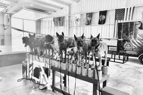 Lubbock-area dog training facility to host its first event for Vietnam Era Vets