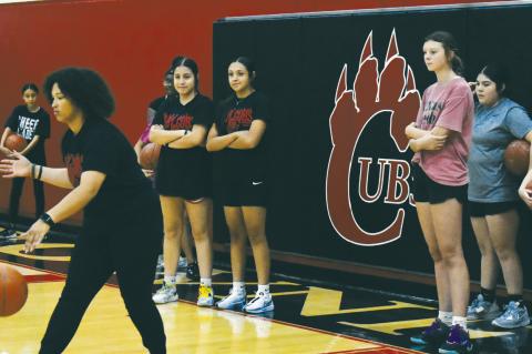 Courtside Cub Camp teaches basketball skills