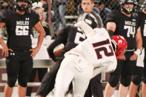Cubs Fall to Mules in Bi-District