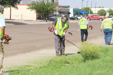 City Council members clean up the city