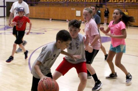 Meadow basketball camp