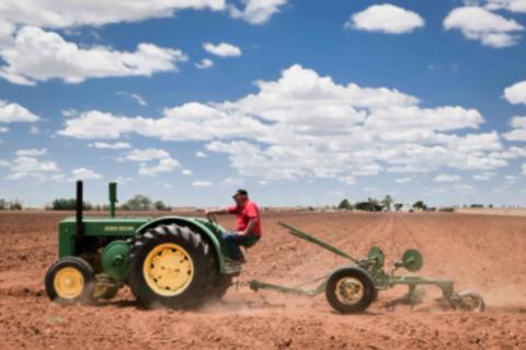 Antique Tractor Show brings together farm experience from near and far