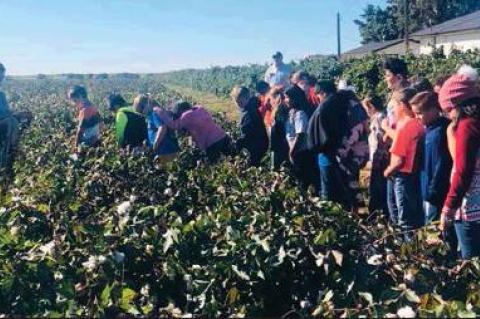 Kids Farm Tour full of fun and learning