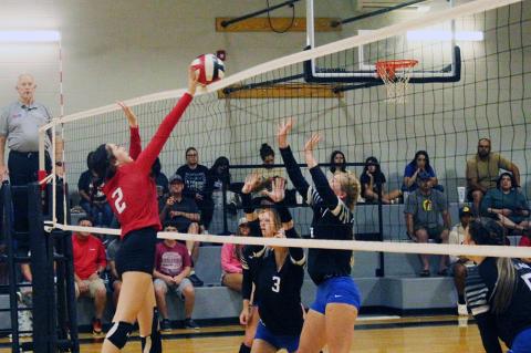 The Lady Cubs have tough time in Shallowater tourney