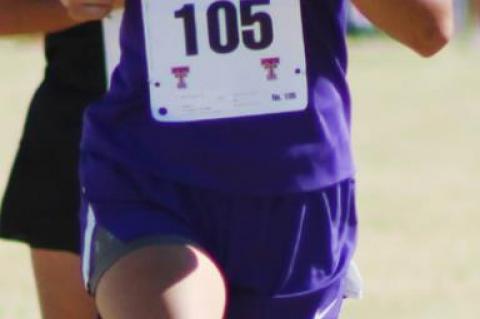 Cross Country teams competed at regional meet