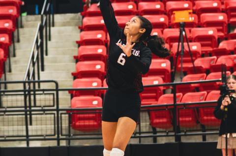 Cubs, Lady Cubs make history with victory against Andrews
