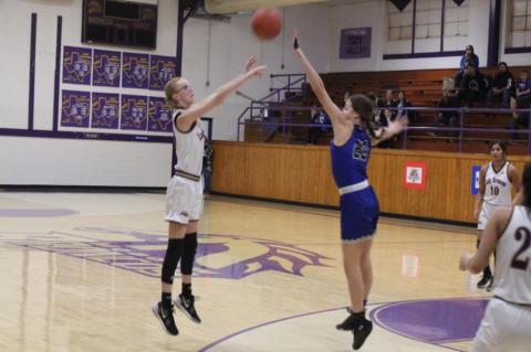 Coaches say Meadow tournament was a success