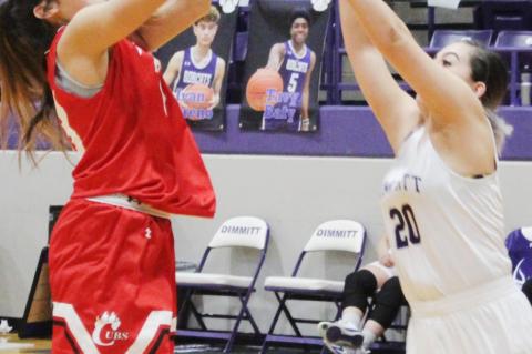 Lady Cubs on the cusp of a district title