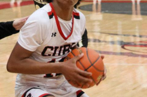 All-District Cubs Honors
