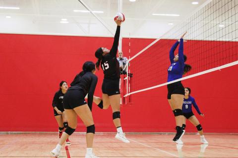 Lady Cub Volleyball: