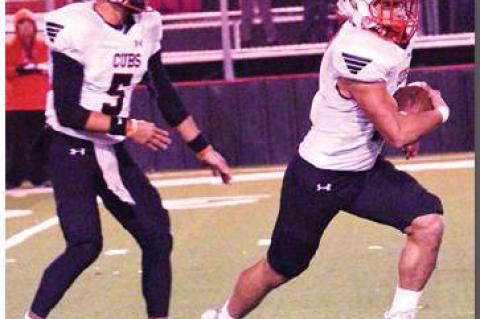 Cubs end season in Bi-District loss