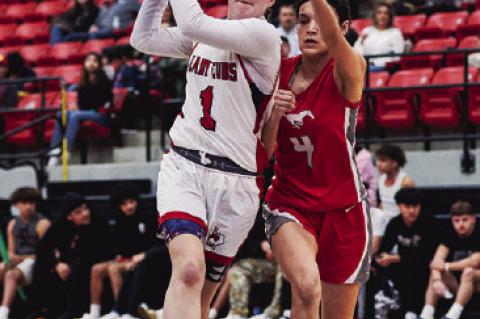 Brownfield Splits Games Against Denver City
