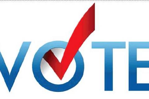 Terry County voters follow statewide trend on amendments