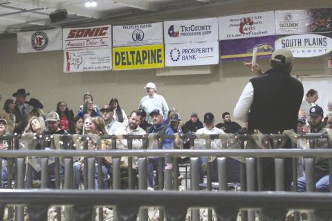 Audience members make their bids during the Terry County Livestock Sale on Jan. 11 at the Terry County Show Barn. (Lee Scheide | Brownfield News)