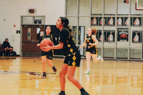 All-District Wellman-Union Honors