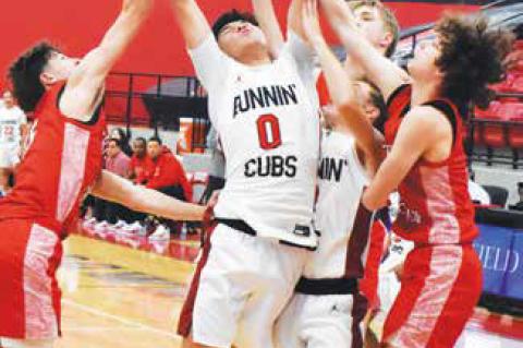 Visiting Lions too much for Runnin’ Cubs in home opener